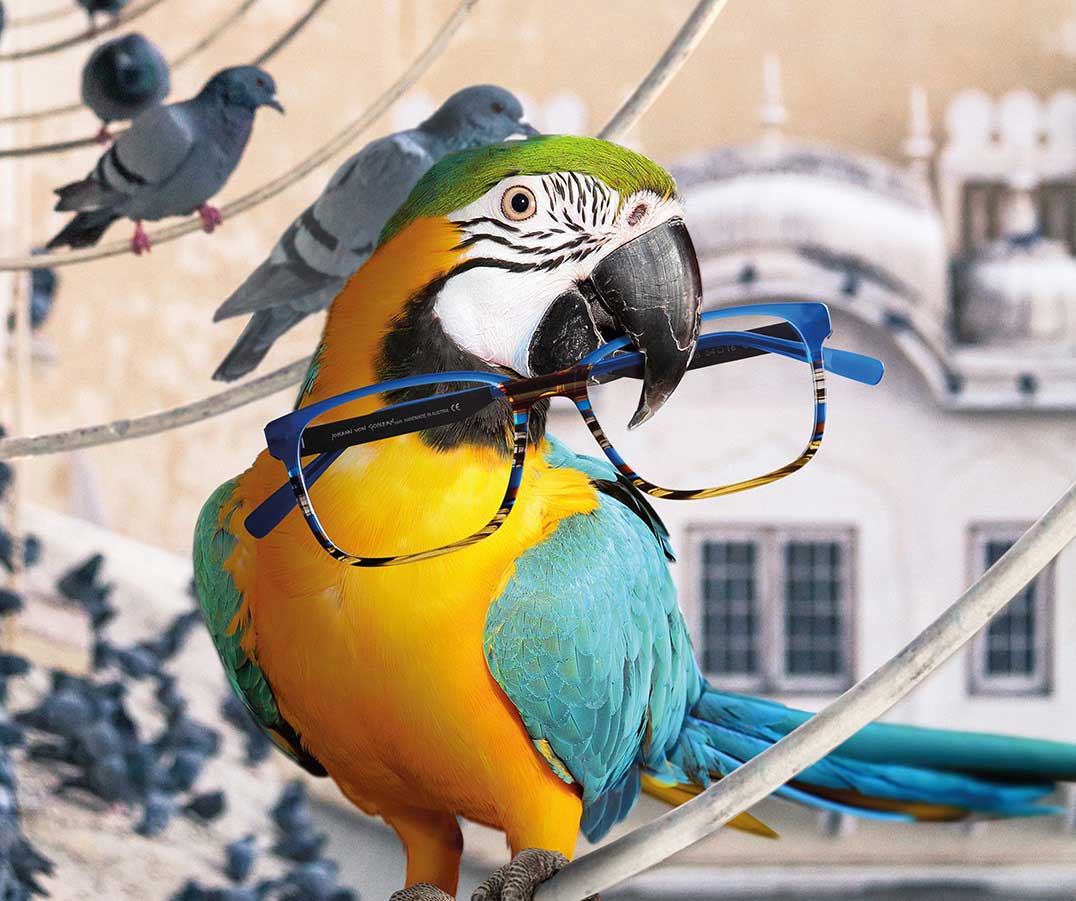 Bunte Acetat Brille