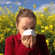 Allergie Pollen Kontaktlinsen