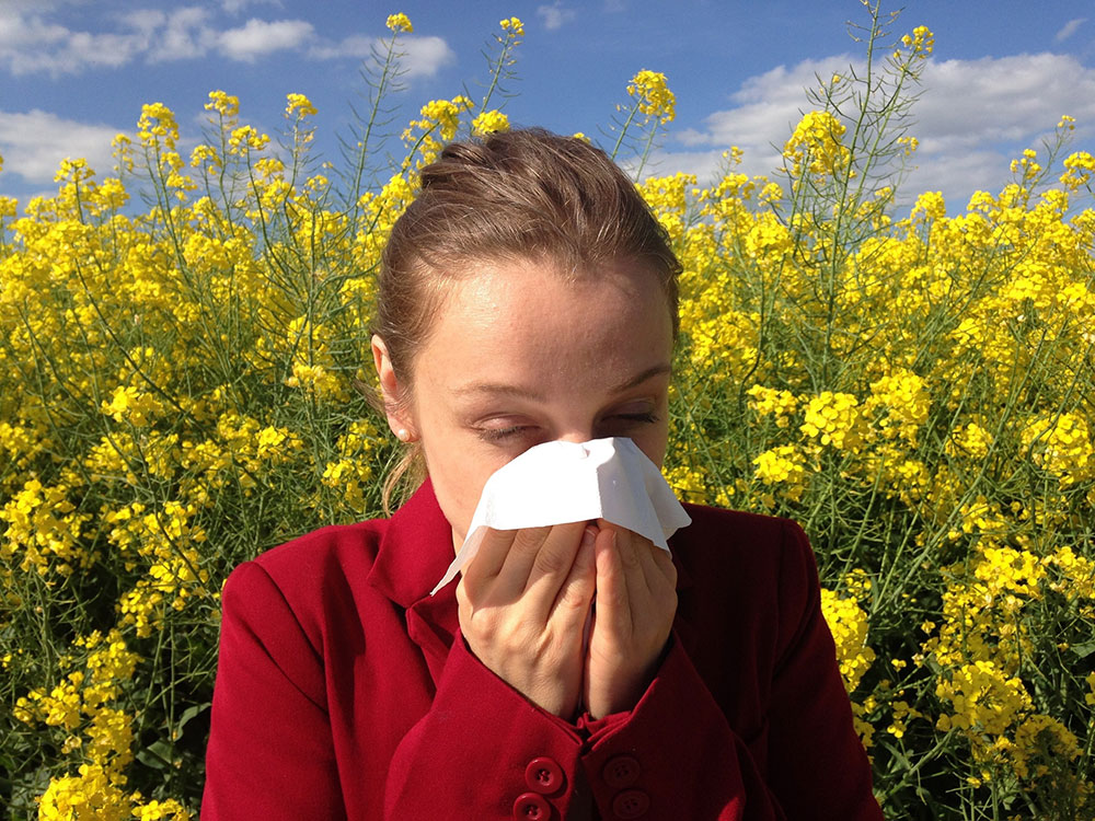 Allergie Pollen Kontaktlinsen