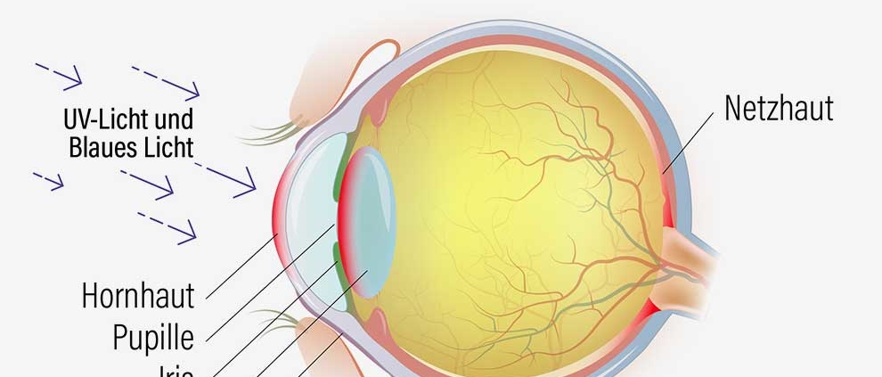 Niemals oben ohne in die Sonne: So reagieren Augen auf UV-Strahlen